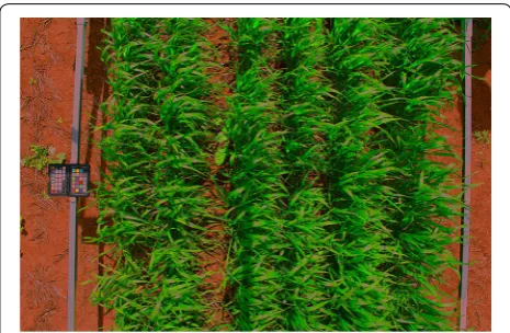 Figure 13zontal axis and the predicted NDVI values in the verti- shows the reference NDVI values in the hori-cal axis, for cases with two different colour spaces used 