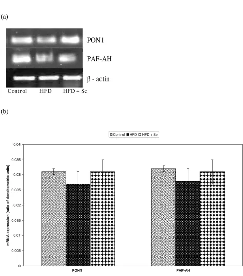 Figure 4A - mRNA expression of PON1 and PAF-AH by RT-PCR. B - Densitometric analysis of PON1 and PAF-AH mRNA expressionA - mRNA expression of PON1 and PAF-AH by RT-PCR