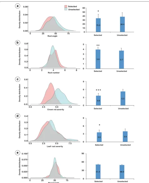 Fig. 6 Density distribution and comparison of population means for selected and unselected  Fangle, 3 population sets for the following traits: a root b root number, c crown rot severity, d leaf rust severity and e plant height