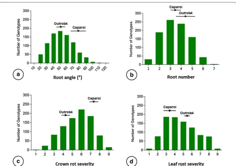 Fig. 4 Frequency distribution for the  F2 segregating population for root angle (a), crown rot (b), root number (c) and leaf rust (d)