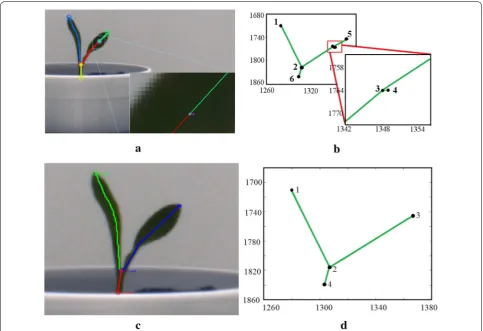 Fig. 5 Illustration of spur removal process: a Spurious branch giving rise to a false node in the leaf; b visualization of Spur in the graphical representation of the plant; c, d Spur removal based on threshold based skeleton pruning in the original plant and its graphical representation