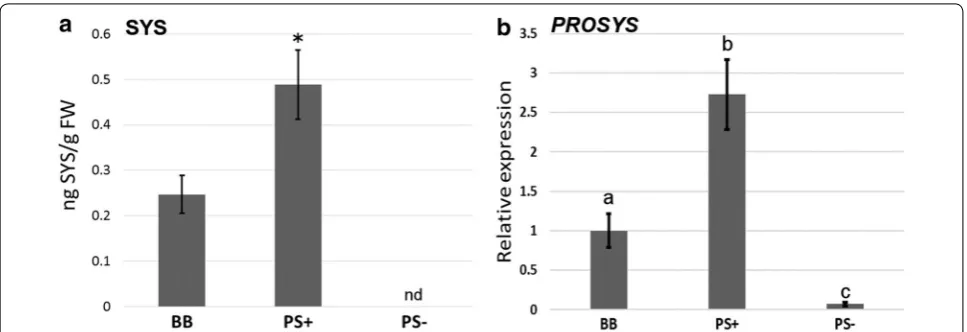 Fig. 3 Quantification of SYS and expression of the PROSYS gene in tomato leaves. Levels of a SYS peptide and b PROSYS gene expression in leaves of tomato plants in wild‑type plants (BB), the overexpressor of PROSYS (PS+) and the antisense of PROSYS (PS−)
