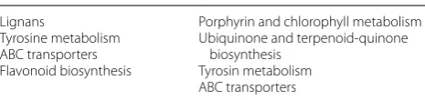 Table 2 Assignment of active metabolic pathways in PS+