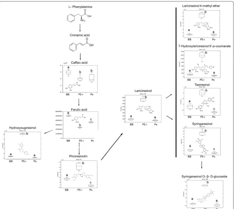 Fig. 5 Profile of selected lignans and their precursor metabolites. 6‑week‑old plants were processed for relative quantification analysis in a UHPLC‑QTOF MS