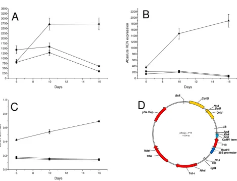 Figure 7Absolute and relative LUC and REN expression levels from the pGreenII 1598-1 construct following 5,10 and 16 days infiltra-tion into tion into N