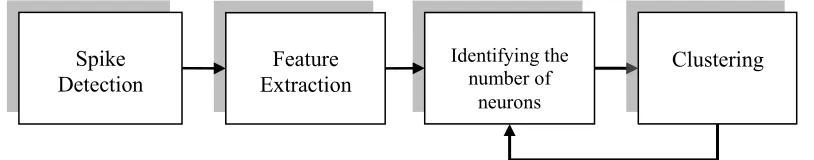 Figure 1. Illustration of the steps involved in spike sorting. 