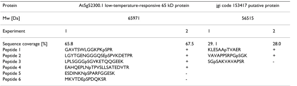 Table 2: Reproducibility test of phosphorylation site identification. +: detected; -: not detected.