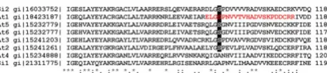 Figure 4genasesSequence alignment of different short chain sterol dehydro-Sequence alignment of different short chain sterol dehydro-genases
