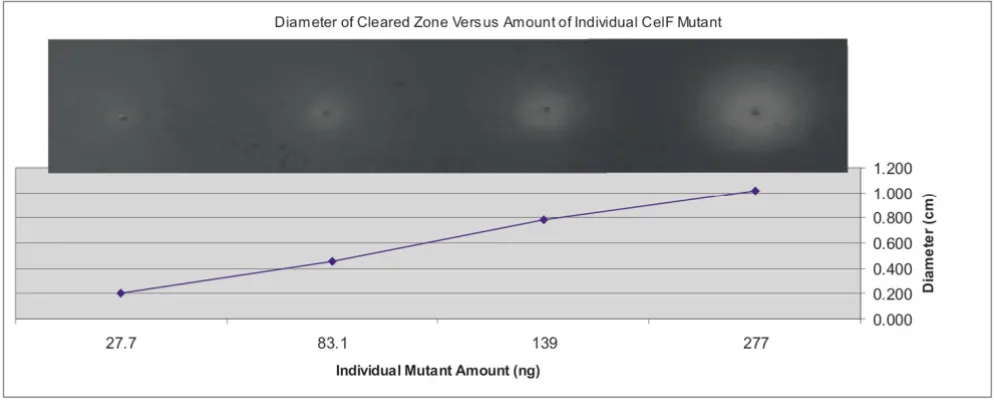Figure 3Diameter of cleared zone plotted as a function of increasing concentration of an individual improved CelF mutantand 10.0 Diameter of cleared zone plotted as a function of increasing concentration of an individual improved CelF mutant