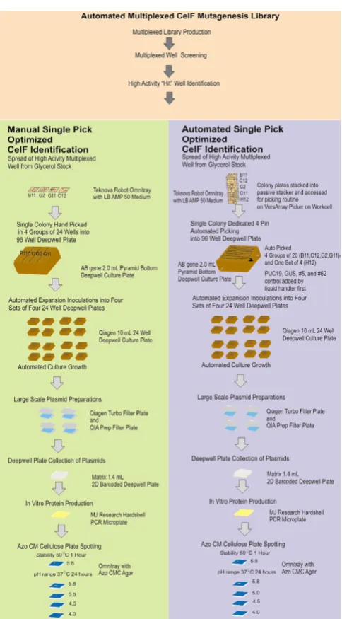 Figure 9 provides a comparison of the activity of wild-typeCelF and CelF mutants, #62, F9MP, and C7HTS, at pH4.0