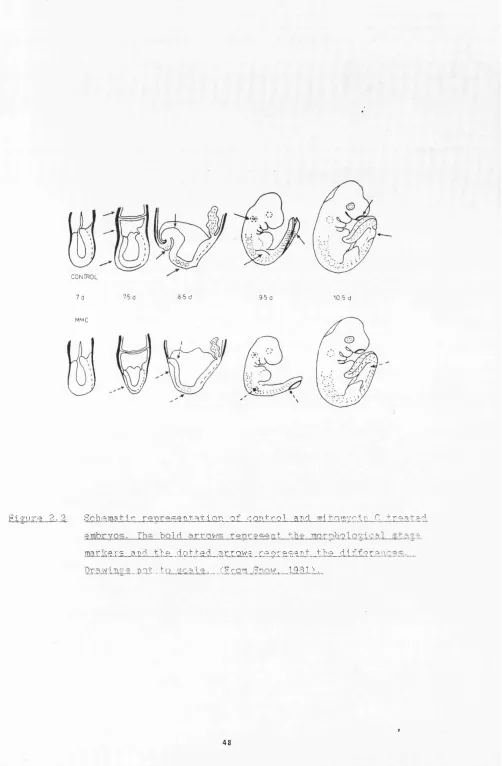 Figure 8.