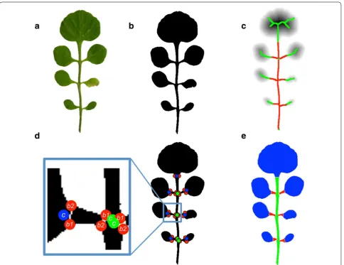 Fig. 2 Leaflet segmentation. The scanned leaf (a) is scaled and converted to a binary image (b)
