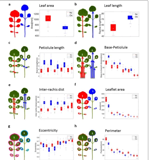Fig. 3 Comparison of accessions by different statistics. Left leaf: Example of the New Zealand (Nz, red) accession, right leaf: Example of the Oxford (Ox, blue) accession
