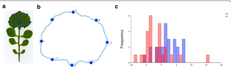 Fig. 4 Landmark generation and shape analysis by MorphoJ. 8 Landmarks are generated for the terminal leaflet (a)