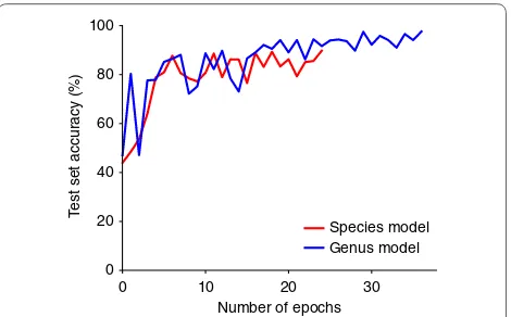 Fig. 3 Plot of patch-level prediction accuracies for the species and genus models during training
