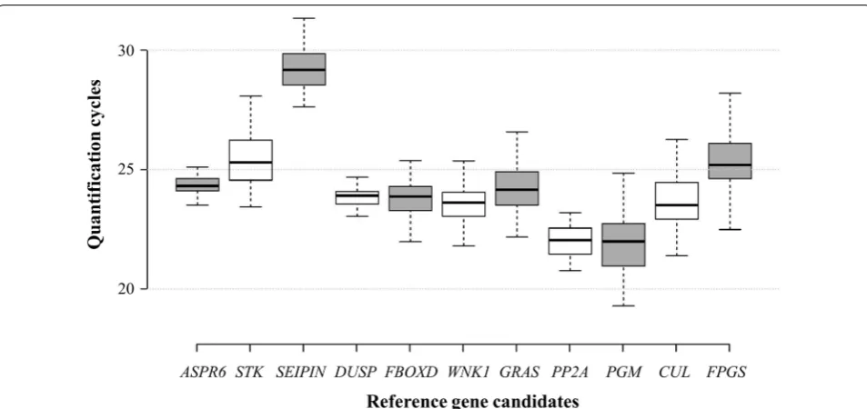 Fig. 2 Reference gene quantification cycle (Cq) distributions. Considerable variability in Cq value was observed for the eleven candidate reference genes assessed across the internode, leaf and inflorescence tissue samples