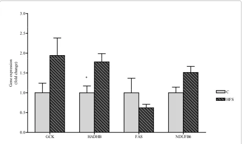 Figure 3 GCK, HADHB, FAS and NDUFB6 mRNA expression. GCK, HADHB, FAS and NDUFB6 mRNA expression values measured by RT-PCR in liver from Control and HS Groups