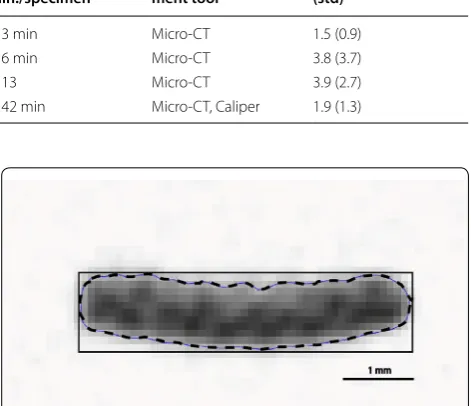 Fig. 7 Micro‑CT image illustrating differences between measur‑ing the cross sectional area of tensile test specimens