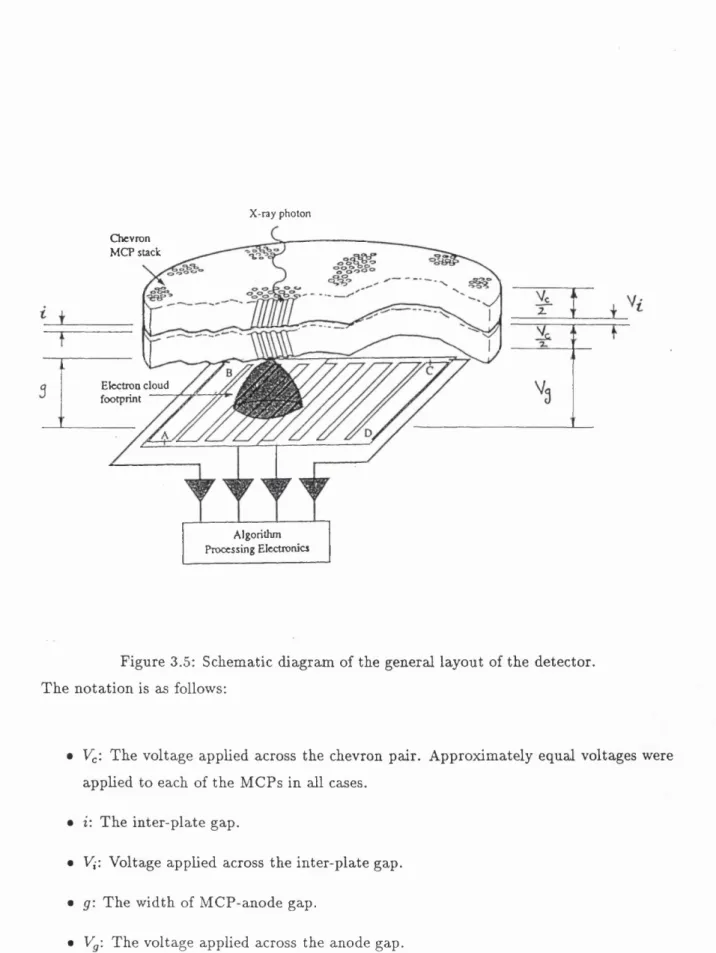 Figure  3.5:  Schematic  diagram  of the  general  layout  of the  detector.  The  notation  is  aa  follows: