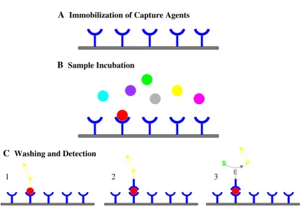 Figure 1Basic principle of a protein expression profiling array and different detection schemes