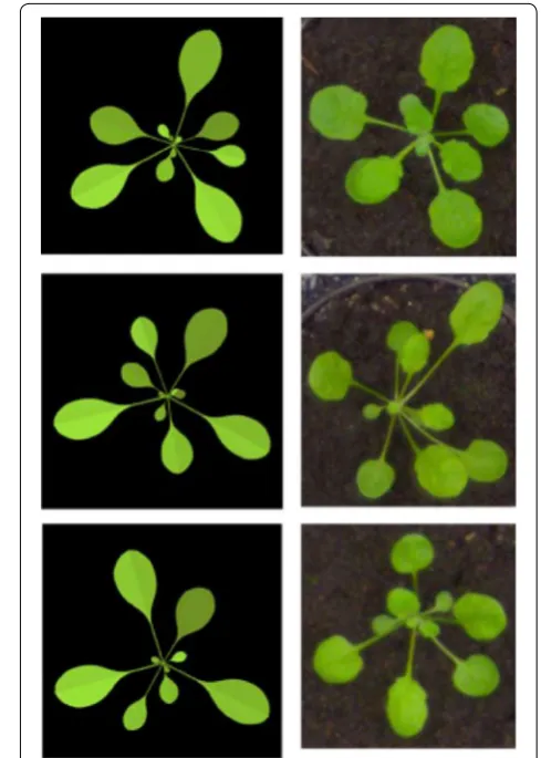 Figure 2 shows three example renderings alongside three real images for visual comparison.