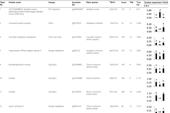 Table 1 Differentially expression proteins identified by MALDI-TOF/TOF MS