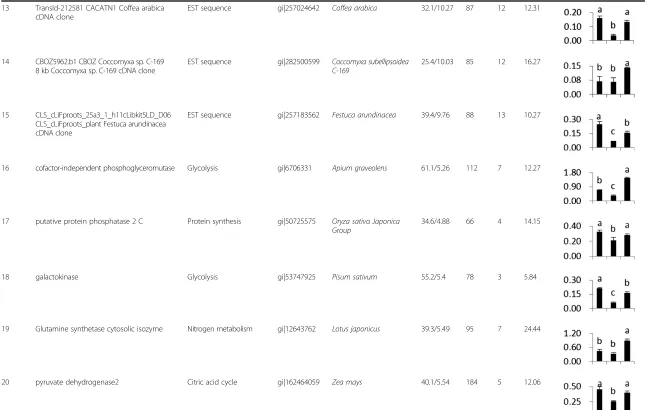 Table 1 Differentially expression proteins identified by MALDI-TOF/TOF MS (Continued)