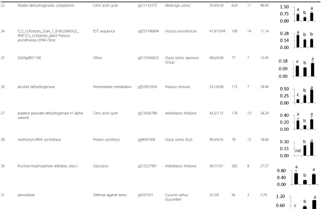 Table 1 Differentially expression proteins identified by MALDI-TOF/TOF MS (Continued)