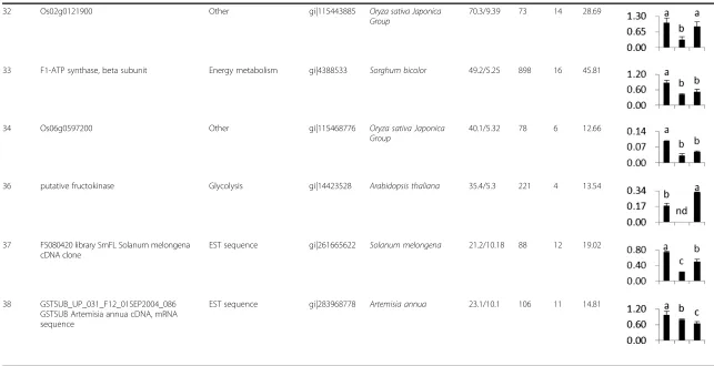 Table 1 Differentially expression proteins identified by MALDI-TOF/TOF MS (Continued)
