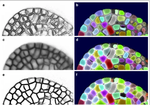 Fig. 4 LSM for cellular segmentation. γtype segmentation (a, c, and e Show different indicator functions g and b, d, and f show the corresponding cellular segmenta-tions