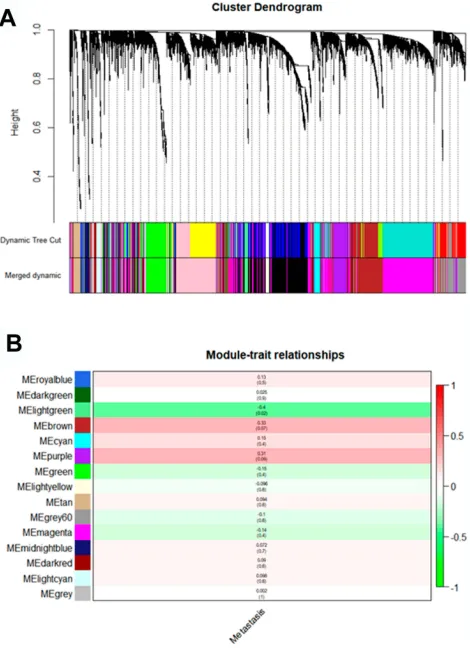 Figure 3 Identifying modules associated with the clinical traits of ccRCC. (A)Dendrogram of all DEGs clustered based on a dissimilarity measure (1-TOM)