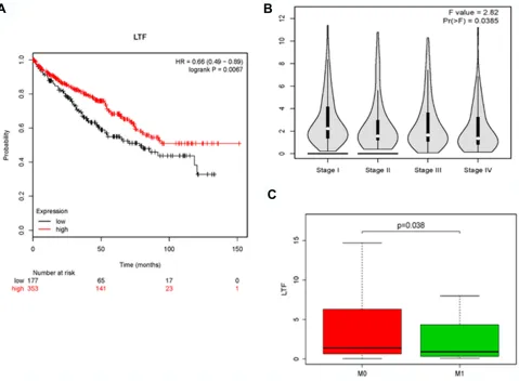 Figure 6 The effect of LTF on the clinical features of ccRCC. (A) Kaplan-Meier plot of overall survival for LTF expression