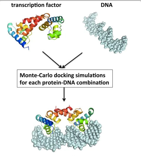 Figure 1 Schematic representation of the docking procedure.