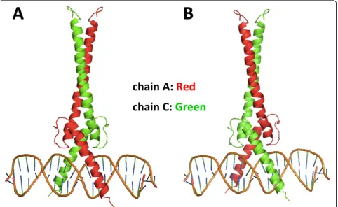 Figure 2 Example of a homodimeric TF-DNA complex and flipped structures. The complex structure of Max and its cognate DNA(PDBID:1AN2)
