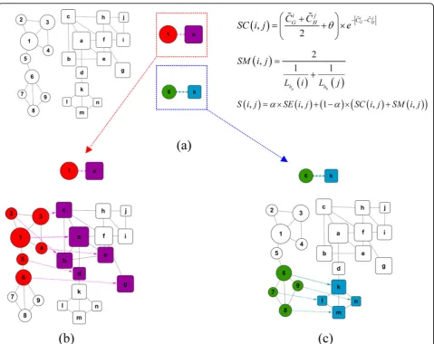 Figure 2 The process of hub seeds-based alignment. (a) Two Networks to be aligned with nodes denoted by circles and rectangles
