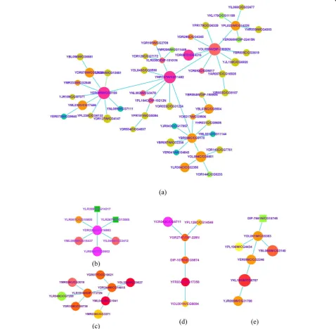 Figure 5 Some functional subnetworks of our result. The node labels indicate the corresponding “yeast/fly” proteins