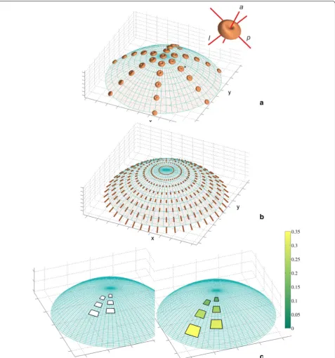 Fig.  2a, which are called indicatrices [12, 40]. At each point, the  Rl in a given direction is proportional to the distance from the point to the indicatrix surface along 
