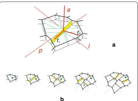 Fig. The way in which the above rules work can be seen in tial and its derivatives are presented