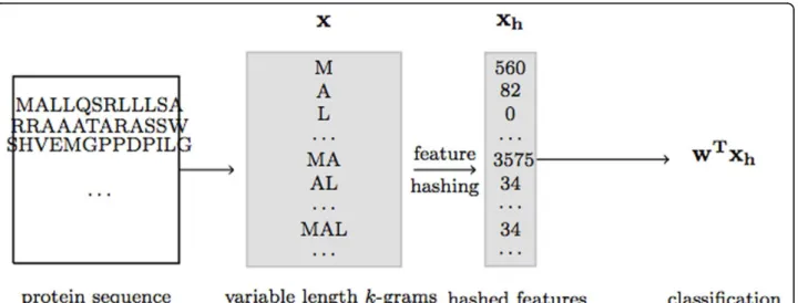 Figure 1 Feature hashing on sparse high-dimensional feature spaces. Feature hashing is performed to reduce very high dimensions to mid-size dimensions, which does not significantly distort the data.
