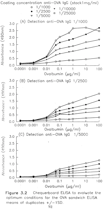 Figure 3.2 C h e q u e r b o a r d  ELISA to e v a l u a t e  the