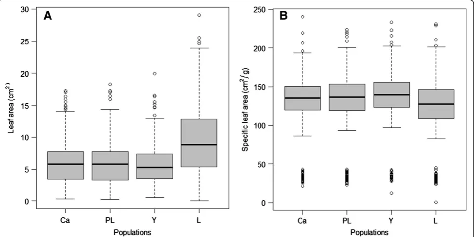 Figure 6 Boxplots for leaf area and specific leaf area in four origins of N. obliqua. (A) leaf area; (B) specific leaf area