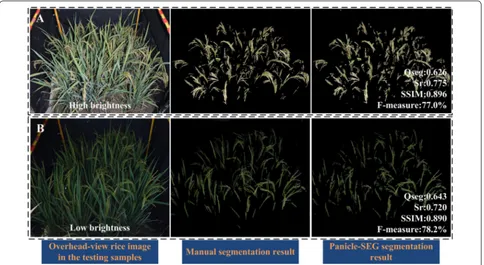 Fig. 5 Two field rice images having different illumination. A High brightness. B Low brightness