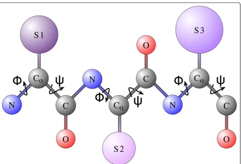 Figure 1 A short protein chain of 3 amino acids is shown for the purpose of illustrating protein geometryconnects the backbone atoms of consecutive amino acids