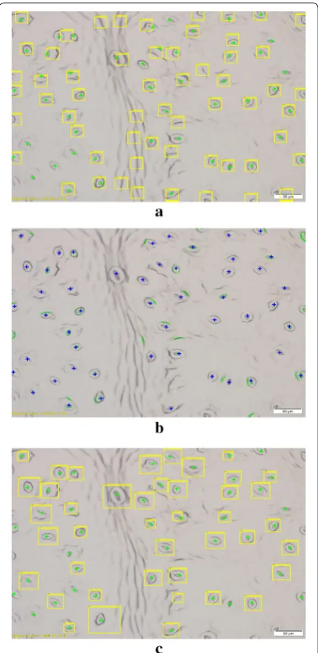 Fig. 10 Stomata identification results for three different methods. Result for Laga’s template matching method