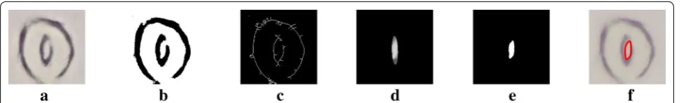 Fig. 7 Skeletonization and ellipse fitting process. a Original image. b Binary image. c Derivation of independent line segments via skeletonization