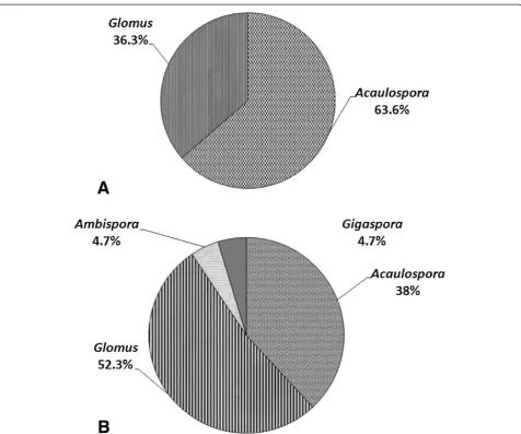 Figure 1 Percentage distribution of the arbuscular mycorrhizal fungi genera associated with the rhizosphere of seedlings (A) andmature trees (B) of Swietenia macrophylla in a tropical rainforest in Los Tuxtlas, Veracruz, Mexico.