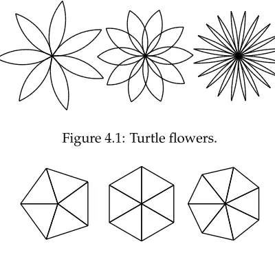 Figure 4.1: Turtle ﬂowers.