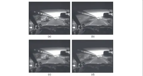 Figure 4 Image smoothing in the t, x, and y dimensions. (a) Original image. (b) Smoothing in t