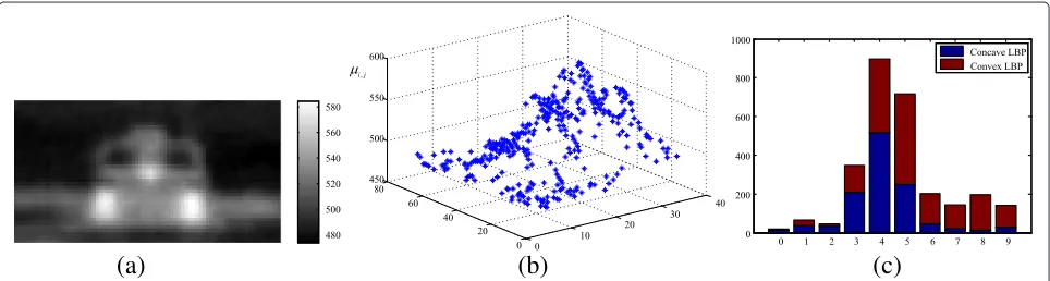 Figure 5 Example of LBP and CCLBP features.rotation invariant uniform LBP code (LBP (a) Example of an infrared chip