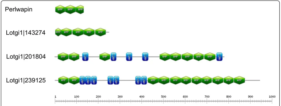 Figure 10 Domain organization of WAP-containing proteins of the shell matrix. WAP (whey acidic protein) domains are shown in green,antistasin-like protease inhibitor domains are shown in blue